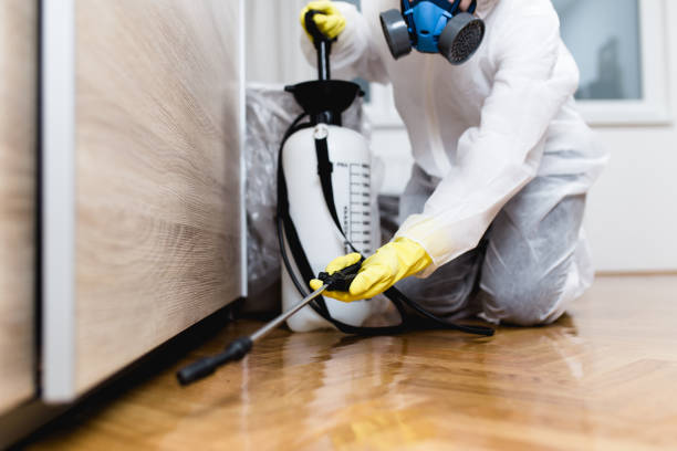 Best Best Pest Control Companies  in Plain City, OH