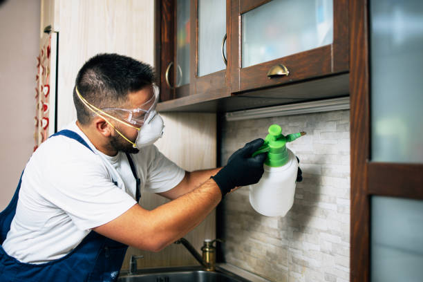 Best Wildlife Control Services  in Plain City, OH
