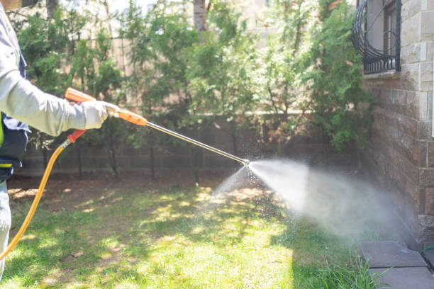 Best Pest Prevention Services  in Plain City, OH